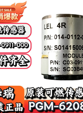 华瑞PGM-6208便携式气体检测仪C03-0911-000可燃传感器