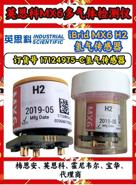 英思科MX6氢气气体检测仪17124975-C氢气传感器
