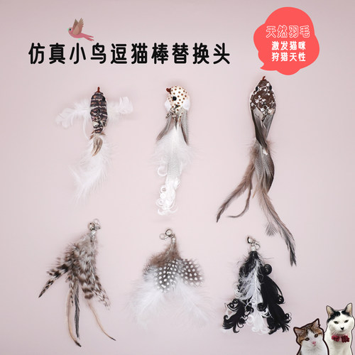 天然羽毛逗猫棒替换头仿真小鸟