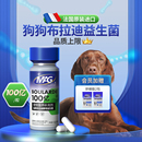 幼犬宠物专用 mag犬用布拉迪益生菌狗狗调理肠胃呕吐软便拉稀腹泻