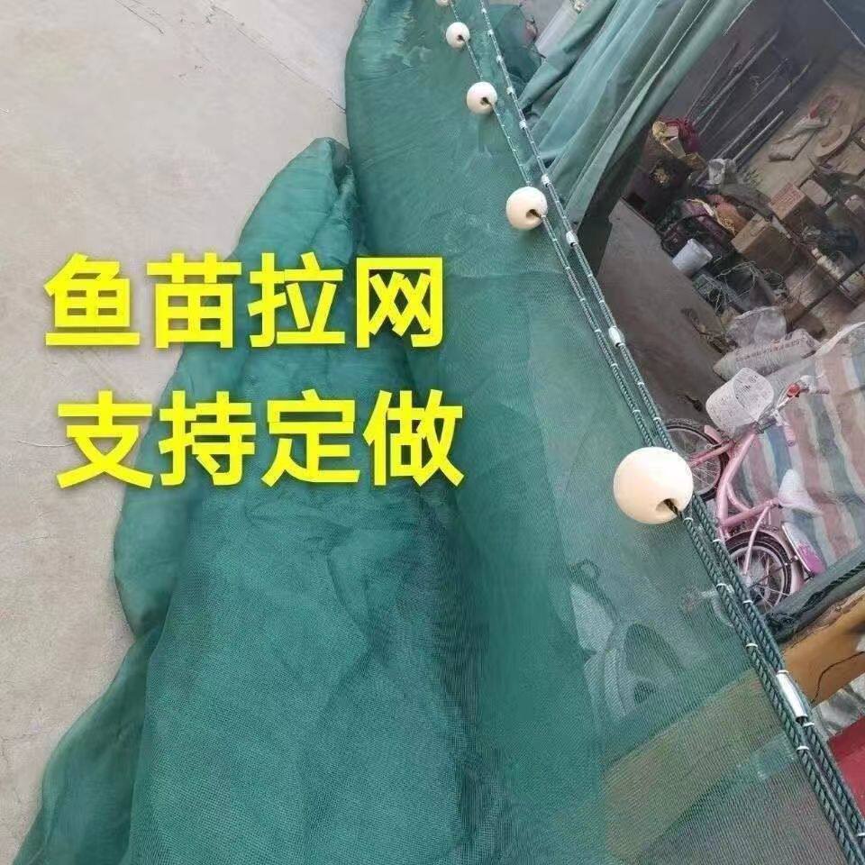 2025新款水花夏花小鱼苗拉网