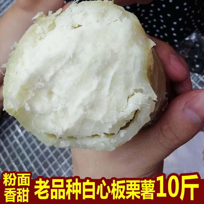 农家白心红薯10斤 整箱聚湖北板栗薯新鲜我为湖北拼单地瓜小白薯