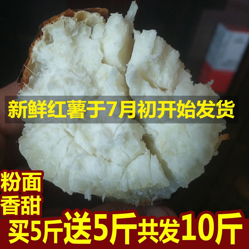 白心板栗薯10斤新鲜白薯助农湖北应季蔬菜紫薯爱心拼单吃货红薯5
