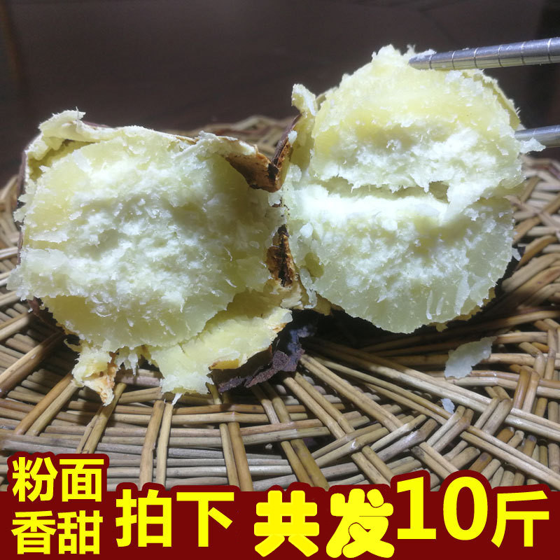 唐河爆皮王板栗薯10斤新鲜湖北助农爱心土特产吃货红薯白心小白薯
