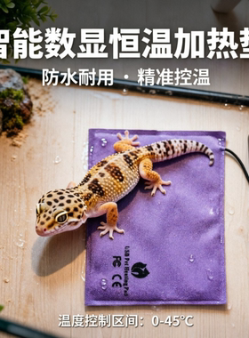 USB爬宠智能数显温控加热垫爬宠保温垫电热毯智能恒温加热设备