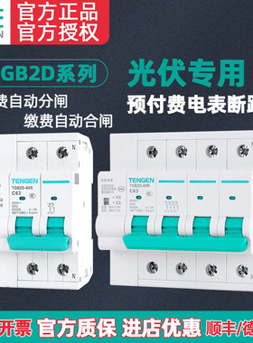 新品可开票对公网箱专用预付费电-80/125RW光伏并TENGEN天正TGB2D