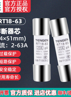TENGEN天正电气 RT18-63 RO16 RT28熔断器芯子保险丝 熔芯14*51MM