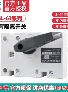 TENGEN天正电气 GL-63/3P/4P 负荷隔离开关断路器3J/4J NH40 63A