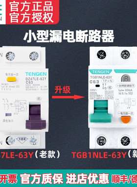 TENGEN天正 DZ47LE-63Y 1P+N C63A漏电保护器开关小型漏电断路器