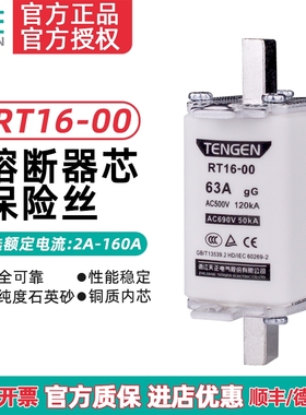 天正电气 RT16-00 NT00 RT36-00熔断器芯保险丝32A40A63A100A160A