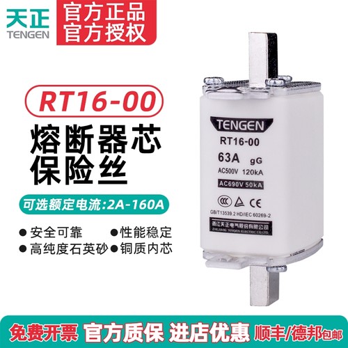 天正电气 RT16-00 NT00 RT36-00熔断器芯保险丝32A40A63A100A160A