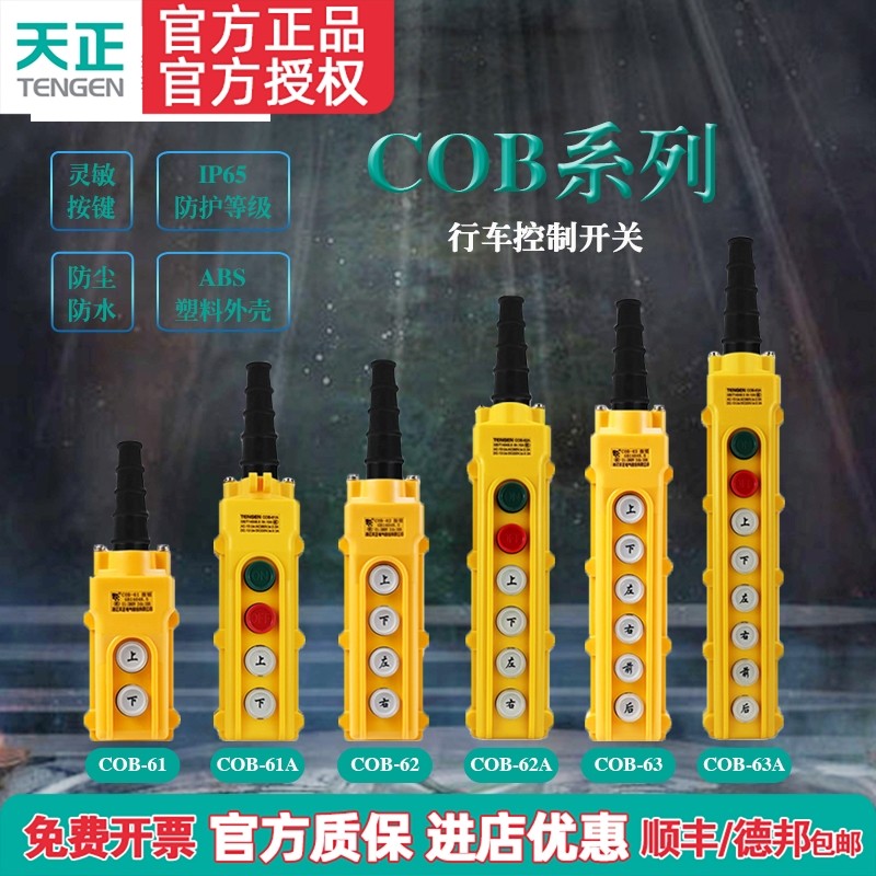 天正COB行车按钮开关盒操作控制起重机电动葫芦手柄开关防雨倒顺