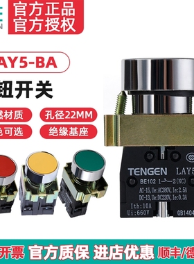 TENGEN天正LAY5按钮BA31 BA42 BA35 BA45 BA55平头自复位按钮开关