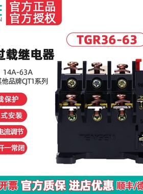 TENGEN天正 TGR36-63热过载继电器JR16B JR36-63a热过载保护器45A