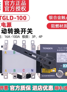 天正TGLD-100/3P 4P双电源自动转换开关PC极25A32A40A63A80A100A