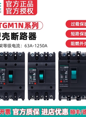 TENGEN天正TGM1N塑壳断路器3P/4P空气开关3300 380V三相10A-1250A