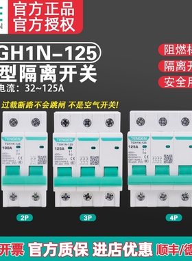 TENGEN天正TGH1N小型隔离开关HL30-125断路器导轨1 2P 3P 4P 100A