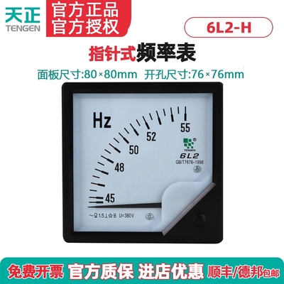 6L2-H频率表TENGEN/天正电气