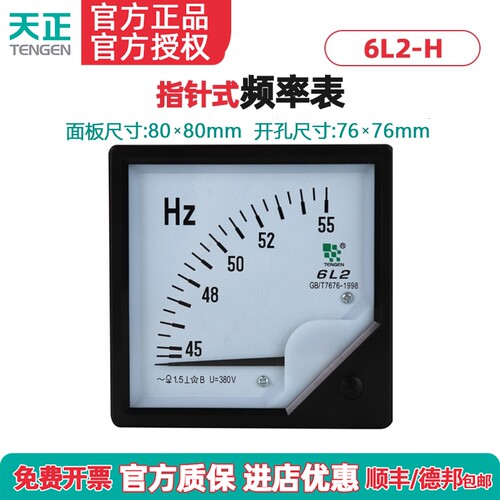 6L2-H频率表TENGEN/天正电气