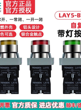 TENGEN天正LAY5带灯按钮LAY5-BV6 BW3361 BW3462自复位平头LED灯