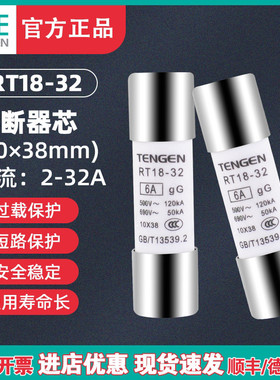 TENGEN天正 RT18-32熔断器熔芯 RT14芯子 R015 RO15 10*38M保险丝