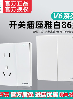 TENGEN天正电气V6墙壁开关插座面板86型家用空调16A五孔10A暗装白