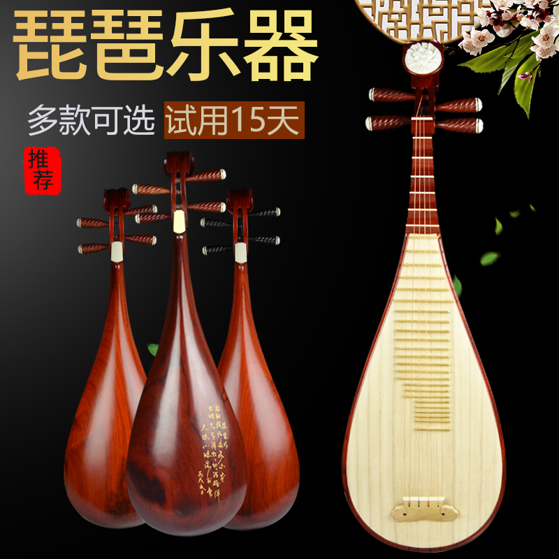 长尧琵琶乐器 成人儿童初学入门考级演奏红木琵琶 弹拨民族乐器