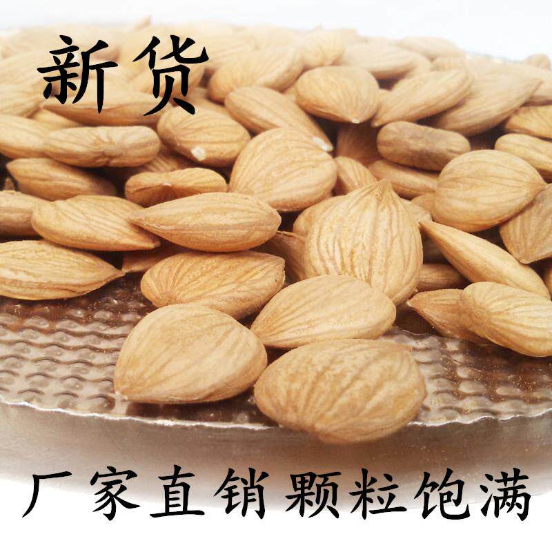 正宗承德甜杏仁原味 生杏仁开口坚果无核大粒南杏仁500克