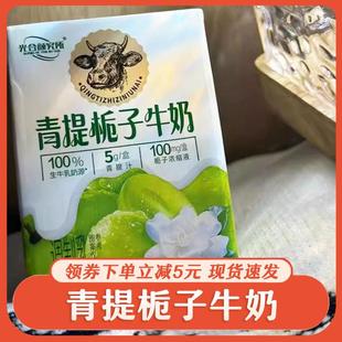 新日期青提栀子牛奶光合研究所太子早餐网红饮料整箱饮品光合颜究