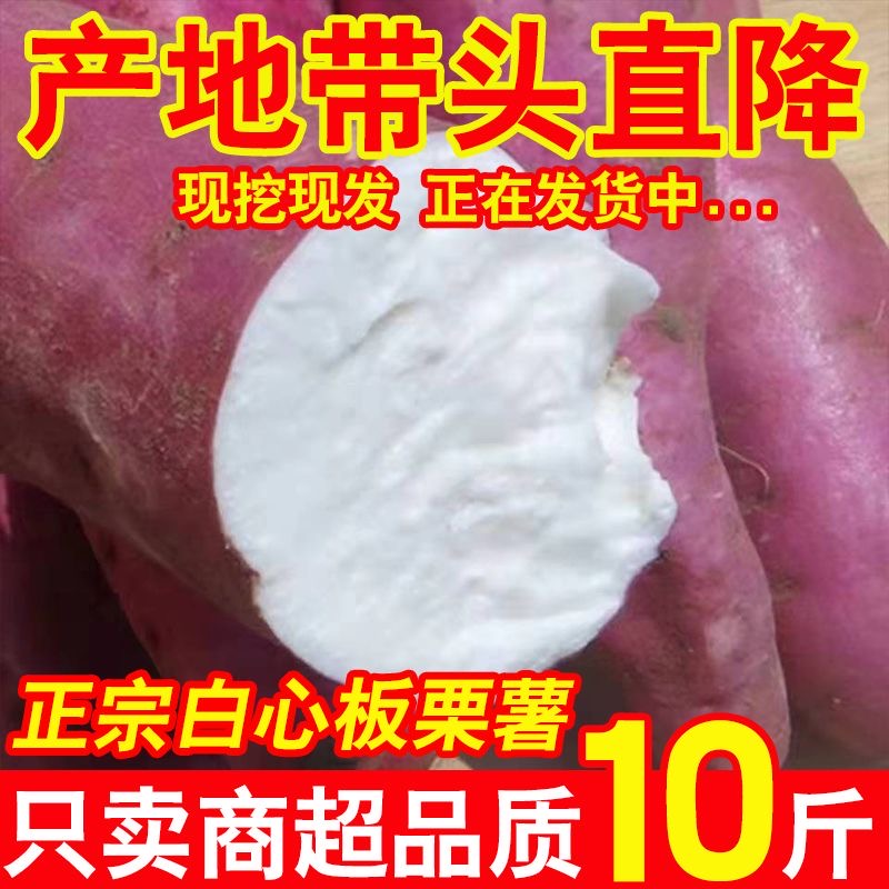 正宗白心板栗薯面甜红薯 重庆白皮白心牛奶人参薯干面粉糯甜番薯