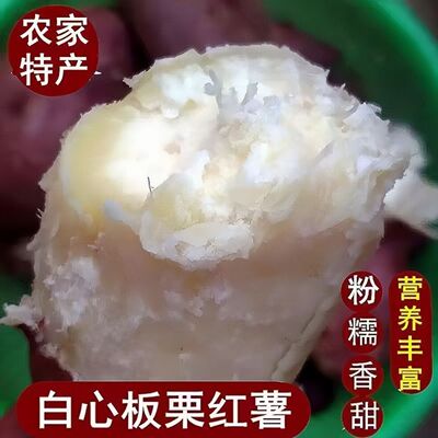 白心板栗薯红薯 香甜面糯烤地瓜山芋 新鲜果蔬现挖整箱现货包邮