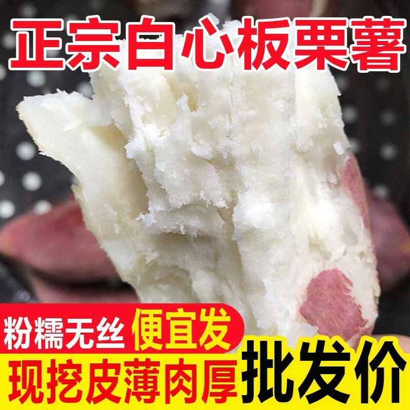 白心红薯营养丰富白瓤红皮绵密细腻软糯肉香皮薄馅厚粉糯无丝番薯