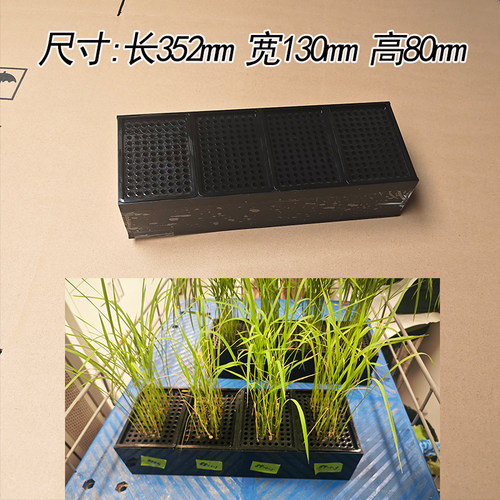 植物水培盒培育盒培育秧小麦 水稻黑色避光 96孔培养盒2片 4片大