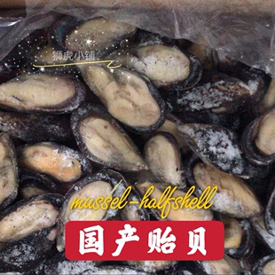 国产半壳贻贝500g 补充锰碘等微量元素熟自制用