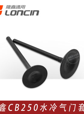 隆鑫CB250水冷气门套件 华洋 金凌沙滩车 阿波罗越野原装进排气门