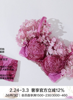 兰卡文瑰丽奢美蕾丝性感文胸小胸聚拢显大LC11KB1