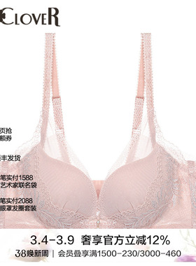 LACLOVER兰卡文轻舞美塑3/4模杯性感蕾丝内衣LC11UB2