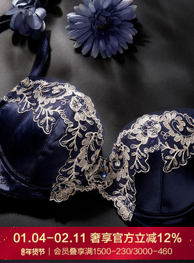 LACLOVER兰卡文闪耀星光系列刺绣聚拢文胸LC12SA1