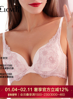 LACLOVER兰卡文蜜语蕾丝刺绣花朵薄款性感内衣LC12QC1