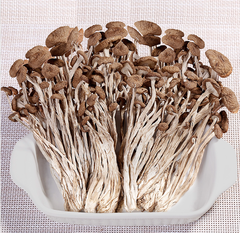 寨吗新货茶树菇农家自产茶薪菇农家种植无硫江西广昌特产750g|msdalam kategori beras/Utara-Selatan barangan kering/perasa, Utara-Selatan barangan kering/daging Kering, kering/Native, kelas cendawan - dari Buy2taobao.com untuk memberikan perkhidmatan ejen Taobao profesional membeli