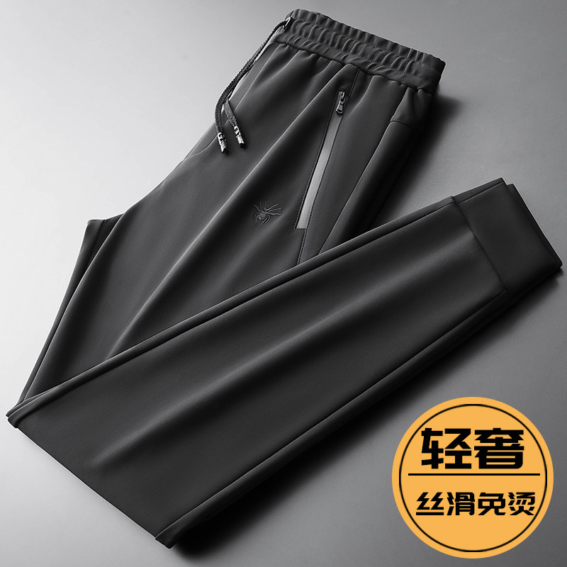 轻奢垂顺休闲裤男2025秋冬季加绒加厚长裤子弹力不沾灰束脚运动裤