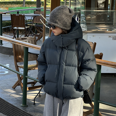 90白鹅绒两色休闲羽绒服外套