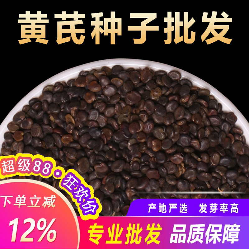 黄芪种子中药材内蒙黄芪种籽500克铁芪棉芪种植苗当归党参枸杞孑图片