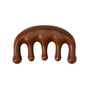 OCE五指多功能头部按摩头皮梳头颈刮痧神器檀木经络梳经典