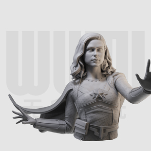 星光胸像 黑袍纠察队 1/16树脂白模 10比例GK手办模型 386