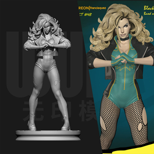 DC 黑金丝雀 黛娜·德雷克 1/24GK白模手办18比例树脂模型 6479