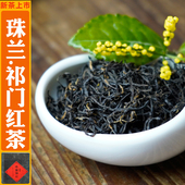 正宗珠兰祁门红茶2025新茶珠兰祁红高山茶叶浓香型红茶罐装