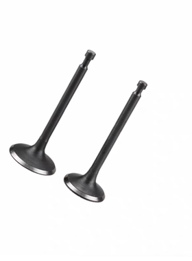 斯巴鲁罗宾汽油机配件EX13 EX17 EX21 EX27 EX40气门进排气门总成