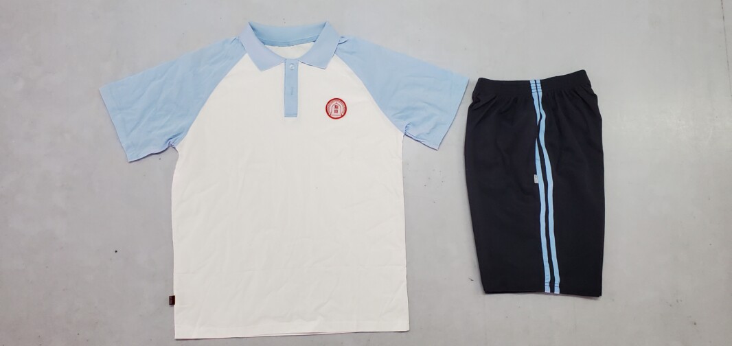 东莞市石龙龙城外国语学校夏季校服