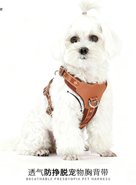 透气老花猫咪狗狗胸背带中小型犬专用背心外出遛狗胸背泰迪雪纳瑞
